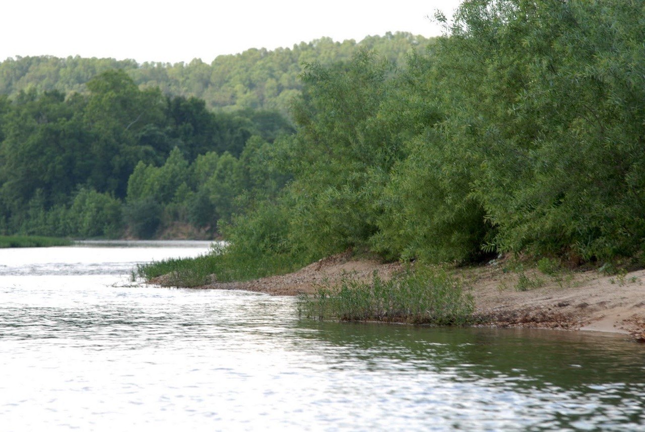 Current River estate gallery image 6